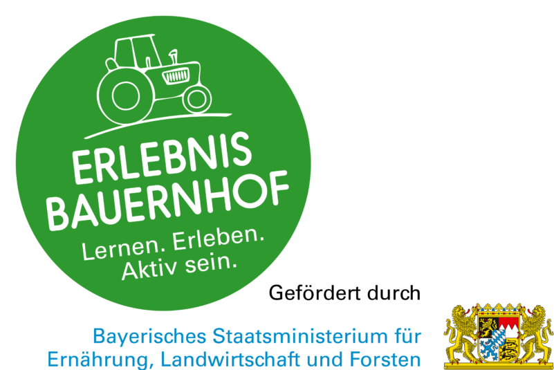 Logo_ErleB für Web
