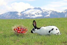 Ostern mit Kampenwand_Foto H. Reiter (2)