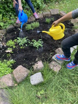 Pressefoto-buwe2024_Kra_uterkidsaktion_c_Kindertagesstaette Sternschnuppe