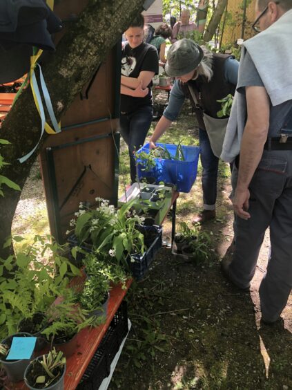 pflanzentauschmarkt-rosenheim-vielfaltsmacher (24)_klein