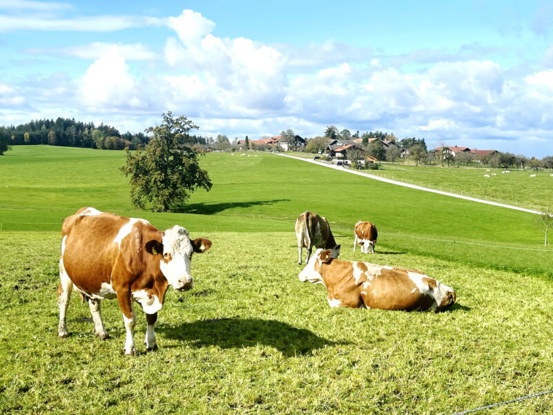 1Blick auf Stetten 2