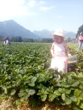 1d446941-f7ac-46c6-9fc8-df5927e451aa