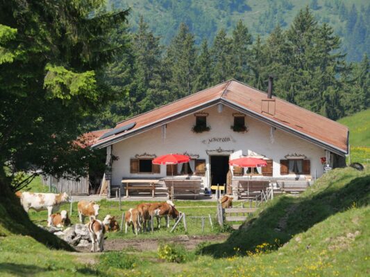 AktNatBeo-250612-ja-01_Ackeralm