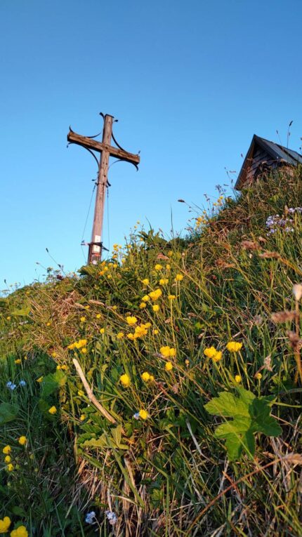 AktNatBeo-250612-ja-13 Blumenberg Geigelstein