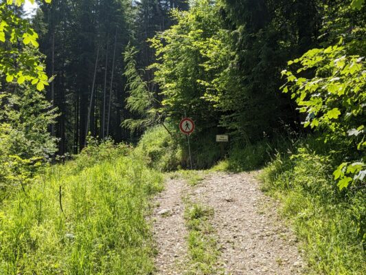 Wanderung zur Wolfsschlucht