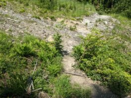 Wanderung zur Wolfsschlucht