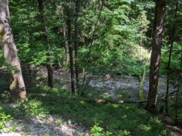 Wanderung zur Wolfsschlucht