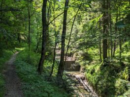 Wanderung zur Wolfsschlucht