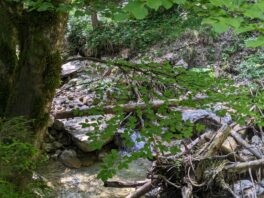 Wanderung zur Wolfsschlucht