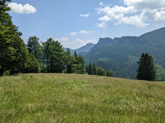 Hintergschwendt - Haindorfer Berg
