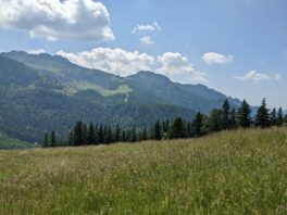 Hintergschwendt - Haindorfer Berg