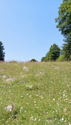 Hintergschwendt - Haindorfer Berg