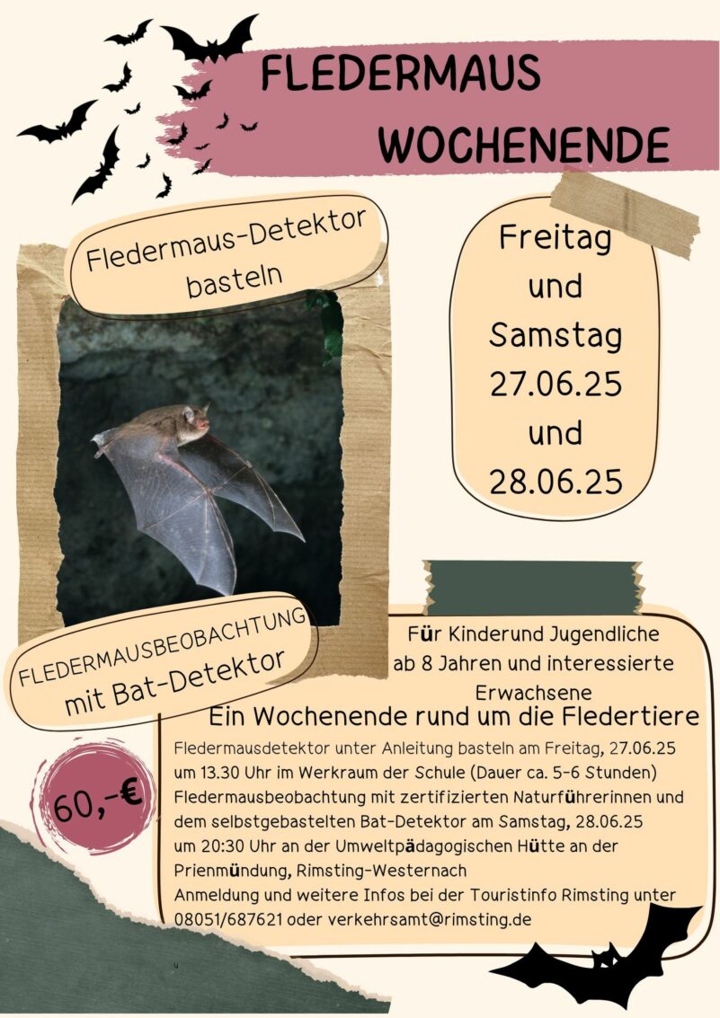 Kopie von Plakat Fledermaus.pdf(1)_klein