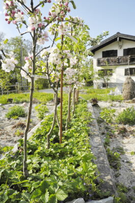 NGZ25_Streitfelder (45)