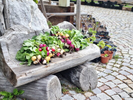 NGZ25_Streitfelder_Dürnberg (47)