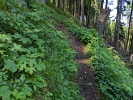 Hintergschwendt - Haindorfer Berg