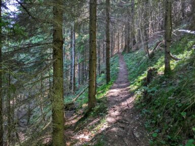 Hintergschwendt - Haindorfer Berg