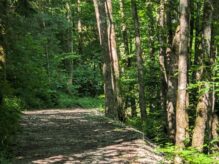 Wanderung zur Wolfsschlucht