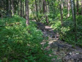 Wanderung zur Wolfsschlucht