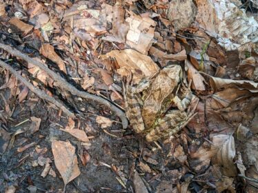 Hintergschwendt - Haindorfer Berg