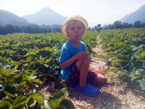 dc684412-2217-44cc-bcf3-796b21092b43