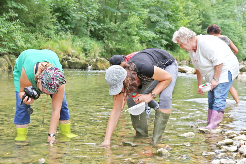 dnads-Tour_09-Gewaesser_unter_der_Lupe-2-S_Griessl-CNF-public-2400pix