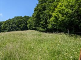 Hintergschwendt - Haindorfer Berg