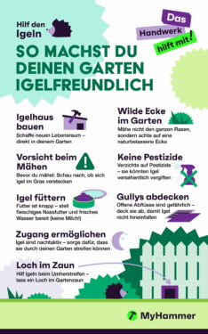 Igel-Ratgeber
