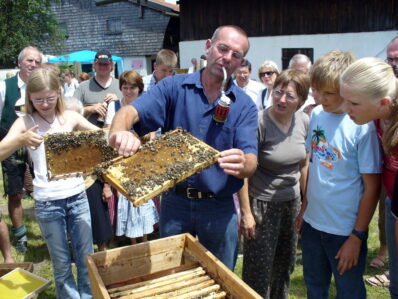 Imker Simon Voit beim Arbeiten mit Bienenwaben