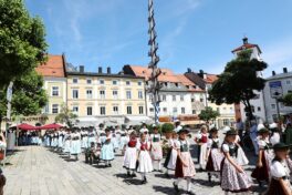 k-die Kinder der 3 Festvereine