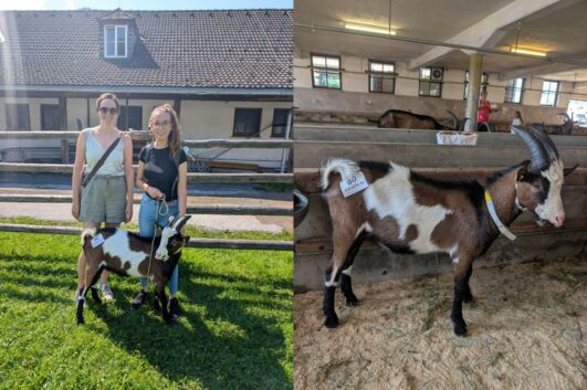 20250813_neuer_Bock_Freudlsperger_Wallner_1_nebeneinander