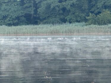 591233e5-818f-4e5e-a9be-ccd2b0f8eda2