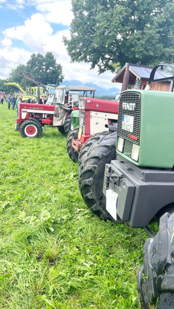 8ce1309f-b017-4d22-bee8-3ce36acfe5e2