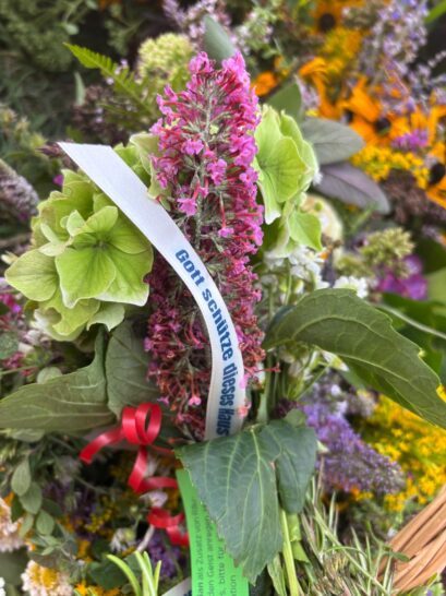 97e6808c-6598-44e0-b8fb-9c3d02be64af