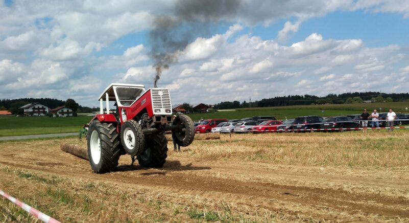 BaamstammZiang1 2025