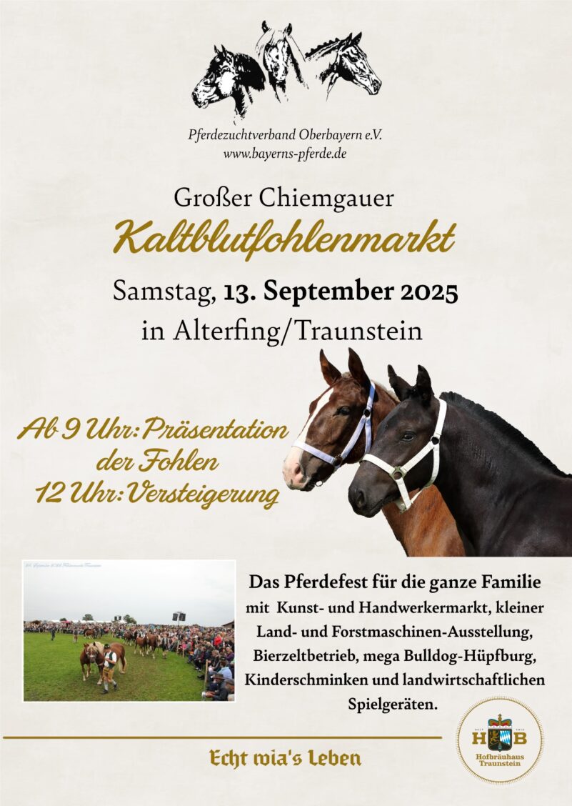 PHOTO-2025-08-08-06-15-28