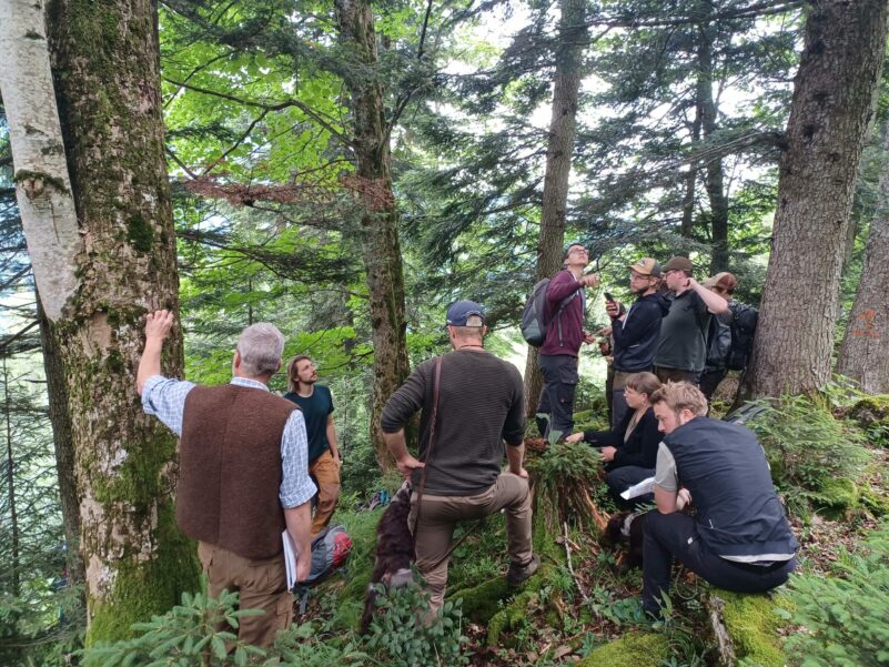 PM_Foto_Auerhuhnmonitoring