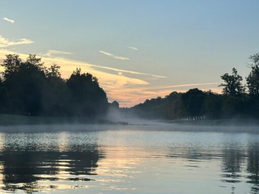 a77869c3-9a5d-485d-86ed-1630c352f02f