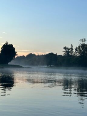 a88c03da-e7d2-481b-9a80-82c67b7a50ee