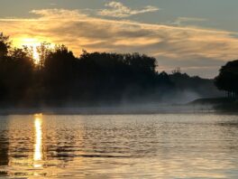 bae477a4-7ed6-4fad-8475-280d0e714540