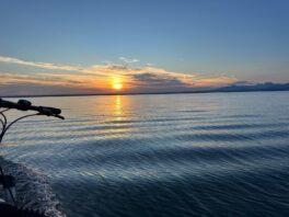 c888e31d-f9e1-4d86-a97d-646ffba19423