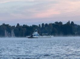 cd95879c-16a4-41fb-8bec-fac0684fca48