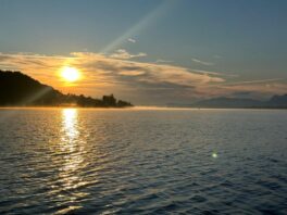 d5f091bc-28a0-40a7-957a-e7b3d1f3f4d4