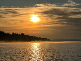 f102150a-95d5-42ba-a1d3-3873d50a58e6