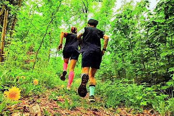 herzenssache transalpine run (1)