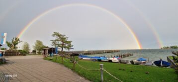 589605b2-4e3f-4e8a-82ca-8f3242a04ce7