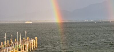 78e8d90d-4647-4460-b801-0c1728915120