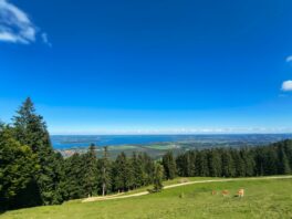 IMG-20250907-WA0013_klein