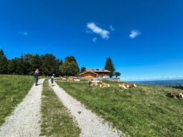 IMG-20250907-WA0014_klein