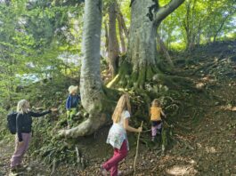 IMG-20250907-WA0015_klein